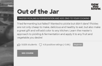 Now You Know online course creative